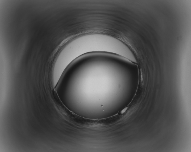 X0000086330348200704131726