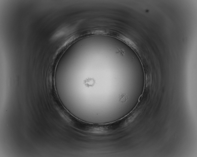 X0000086330349200704131726