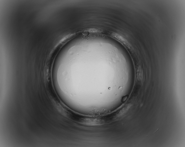 X0000086330351200704131726