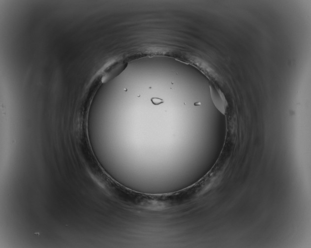 X0000086330352200704131726