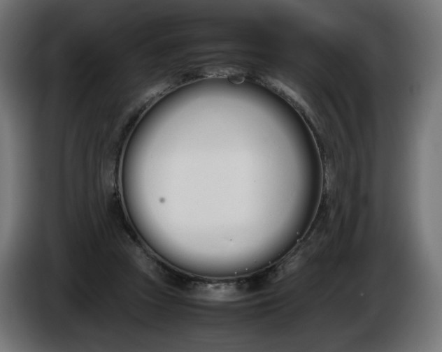 X0000086330353200704131726