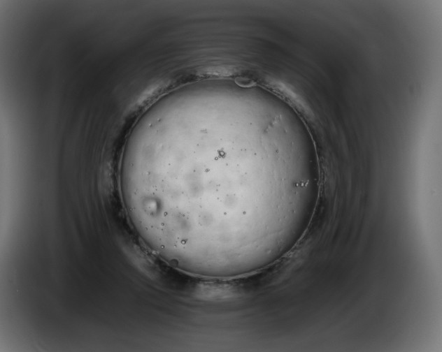 X0000086330354200704131726