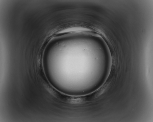 X0000086330357200704131726