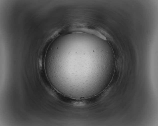 X0000086330358200704131726