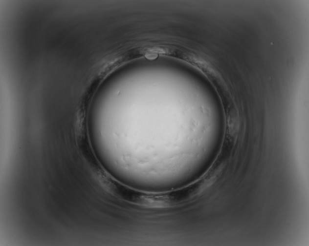 X0000086330359200704131726