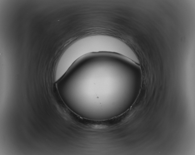 X0000086330360200704131726