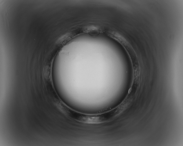 X0000086330361200704131726