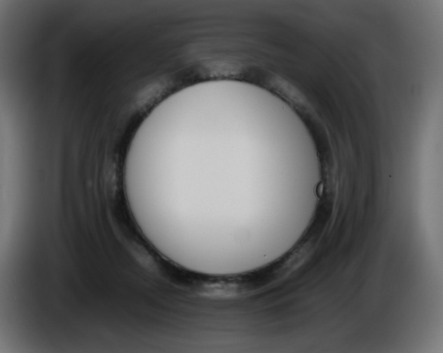 X0000086330362200704131726