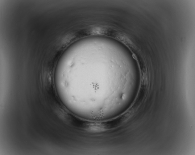 X0000086330363200704131726