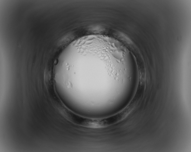 X0000086330365200704131726