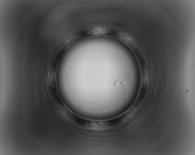 X0000086330367200704131726