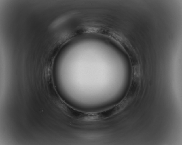 X0000086330369200704131726