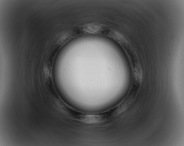 X0000086330371200704131726