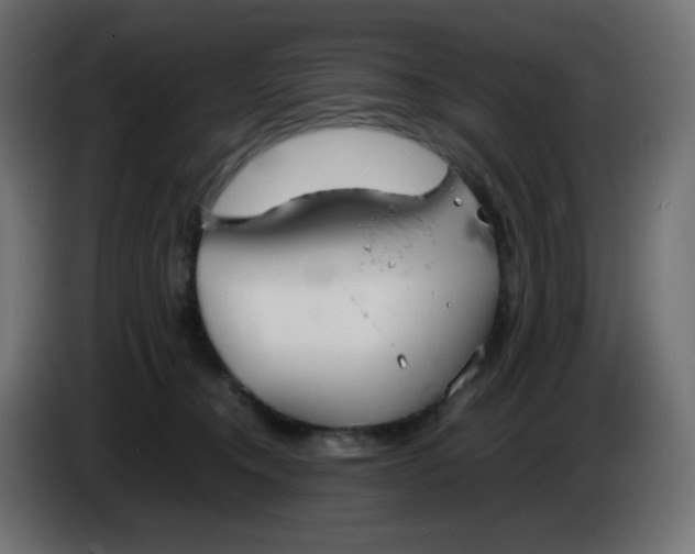 X0000086330372200704131726