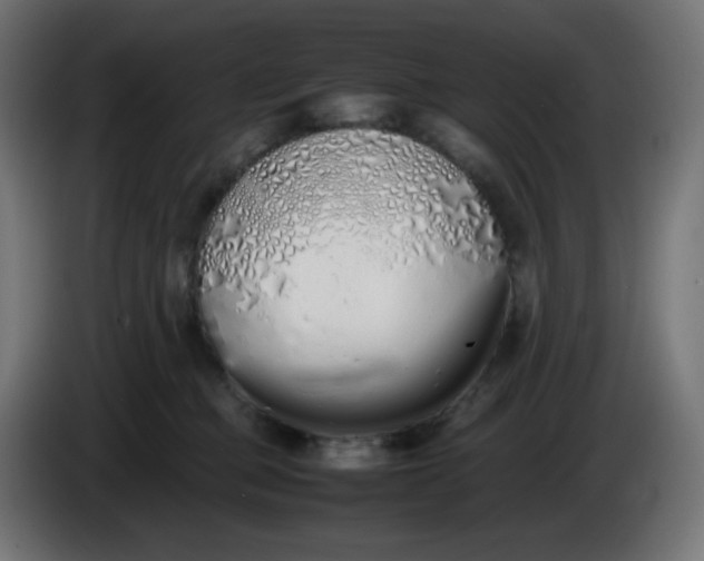 X0000086330373200704131726