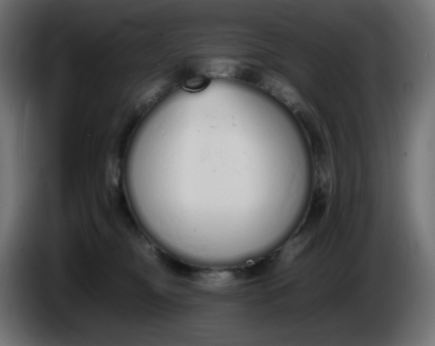 X0000086330374200704131726