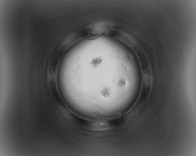 X0000086330375200704131726