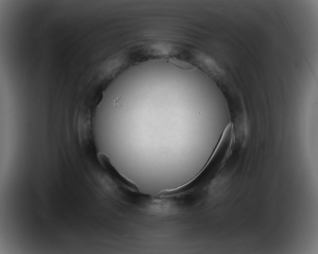 X0000086330376200704131726