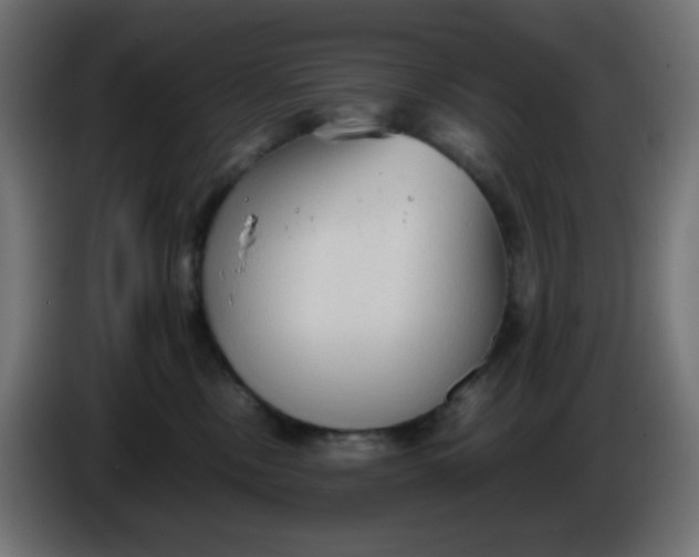 X0000086330378200704131726