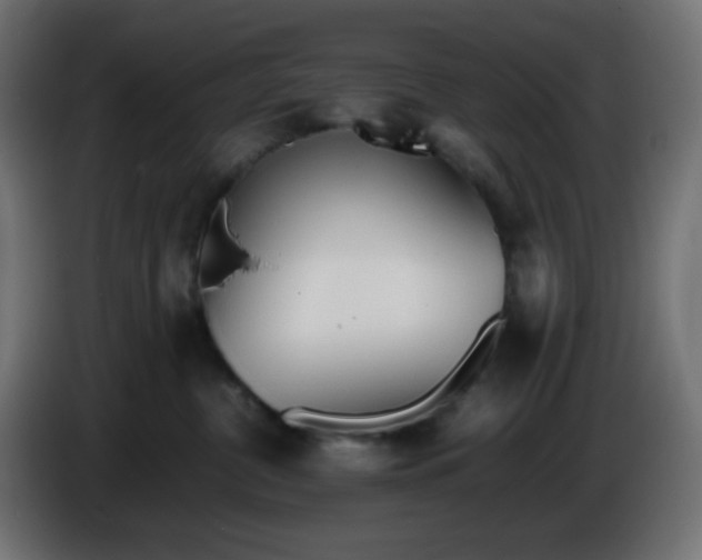 X0000086330380200704131726