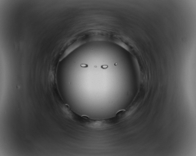 X0000086330382200704131726