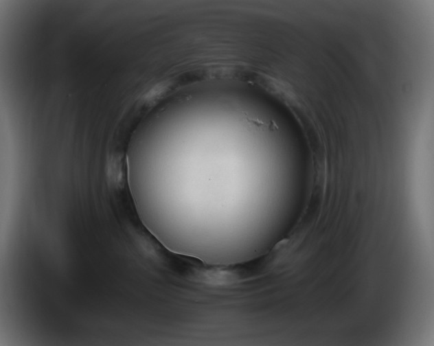 X0000086330383200704131726