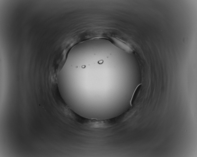 X0000086330384200704131726