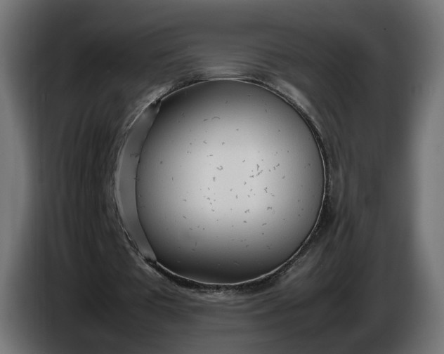 X0000086330385200704131726