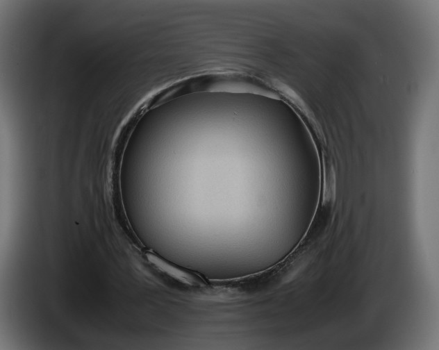 X0000086330387200704131726