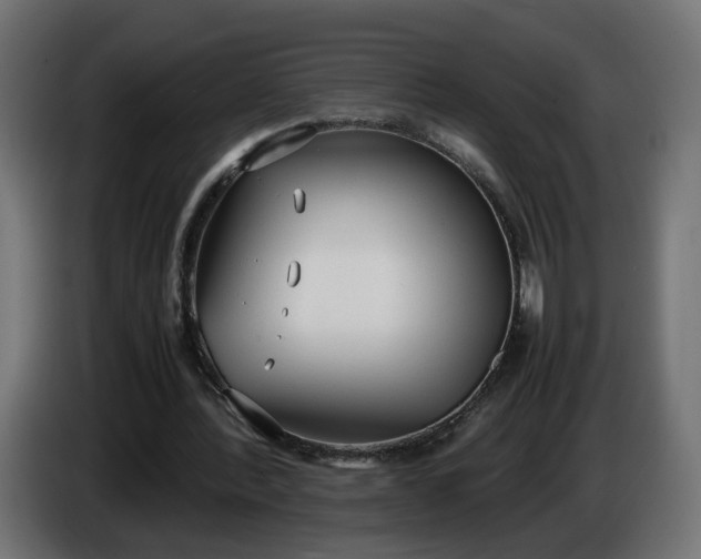 X0000086330388200704131725