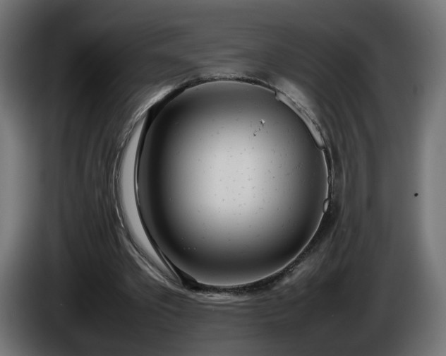 X0000086330389200704131725