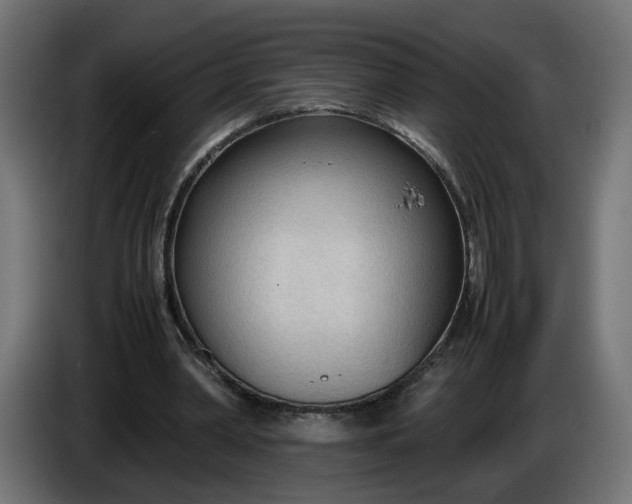 X0000086330390200704131725