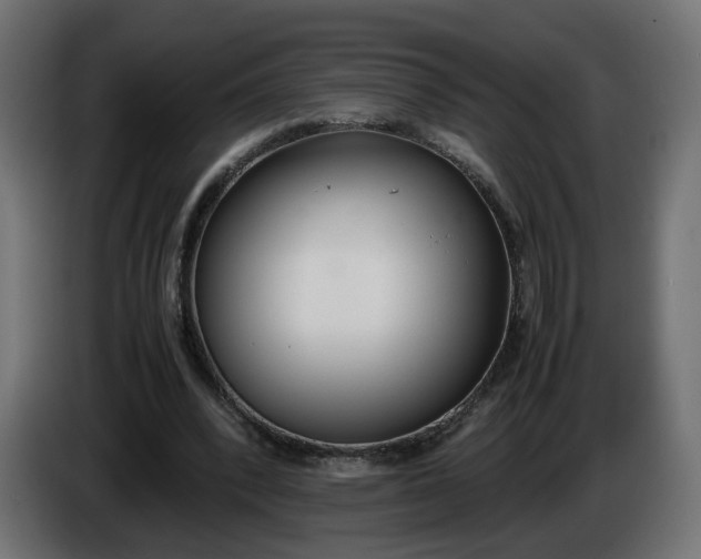 X0000086330392200704131725