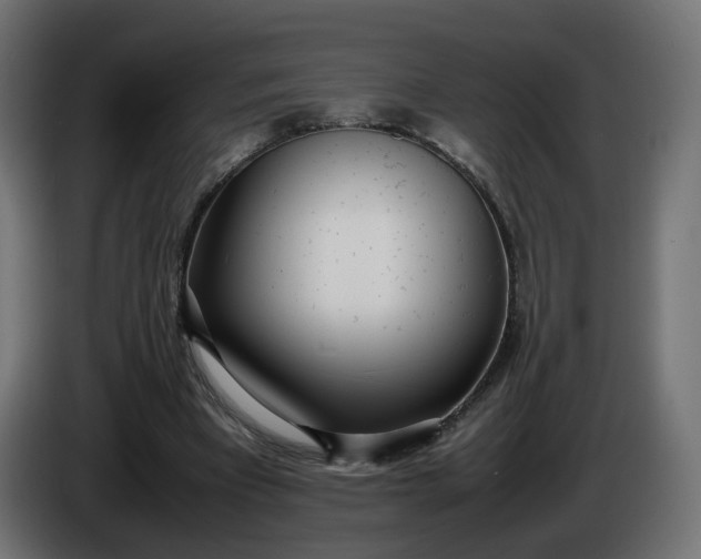 X0000086330393200704131725