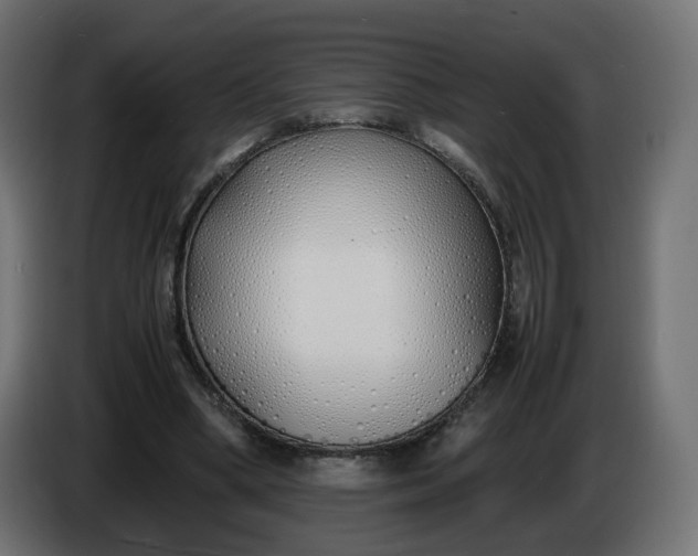 X0000086330394200704131725