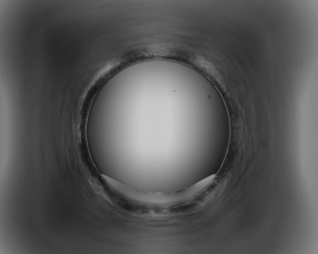 X0000086330395200704131725