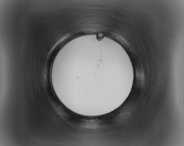 X0000086330396200704131725