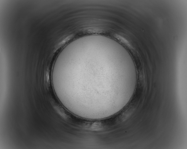 X0000086330398200704131725