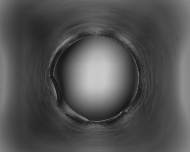 X0000086330399200704131725