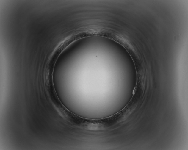 X0000086330400200704131725