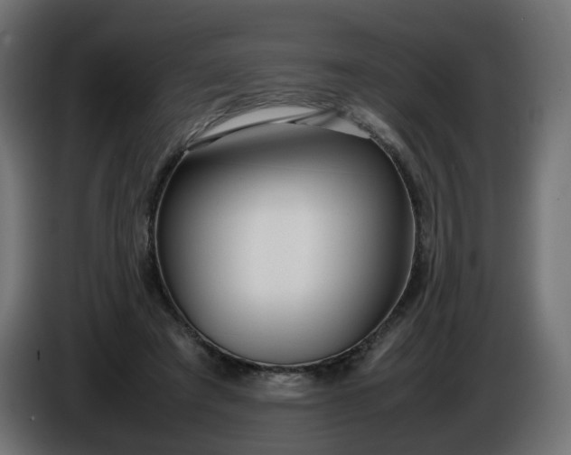 X0000086330401200704131725