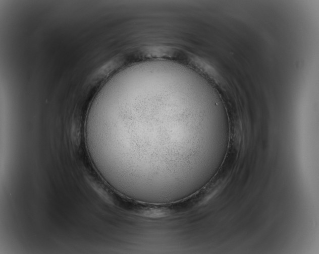 X0000086330402200704131725