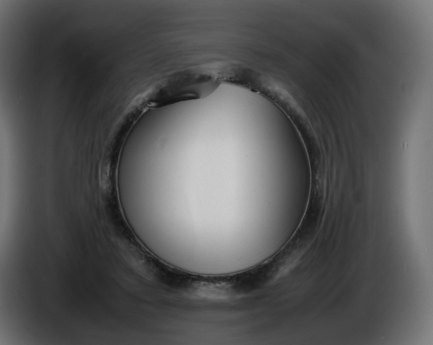 X0000086330403200704131725