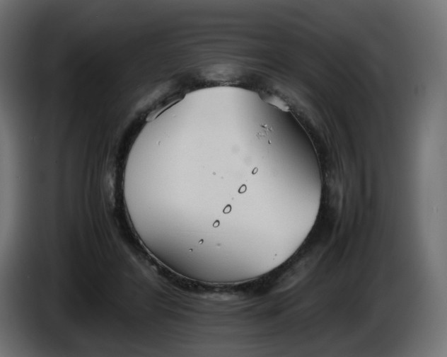 X0000086330404200704131725