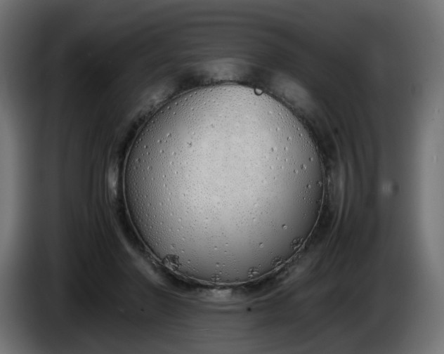 X0000086330406200704131725