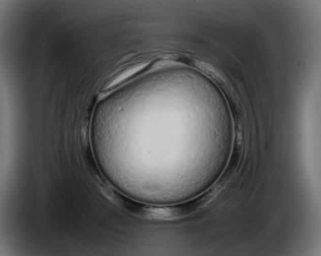 X0000086330409200704131725