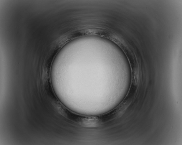 X0000086330410200704131725