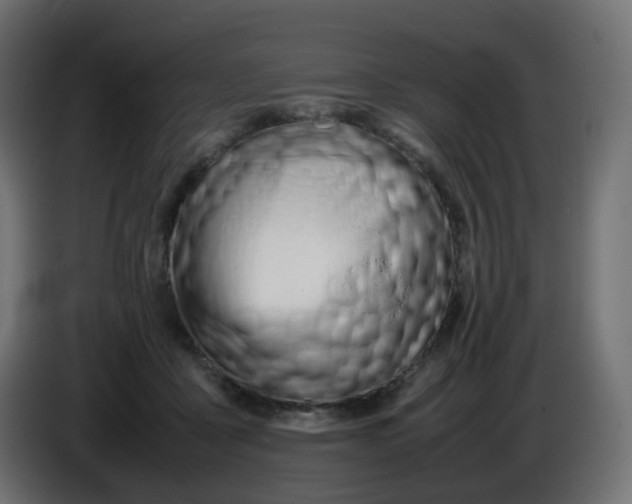 X0000086330411200704131725