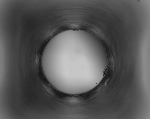 X0000086330412200704131725