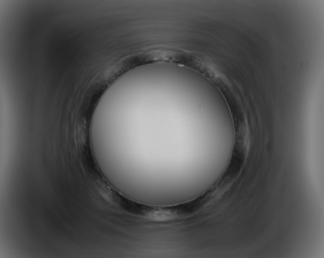 X0000086330413200704131725